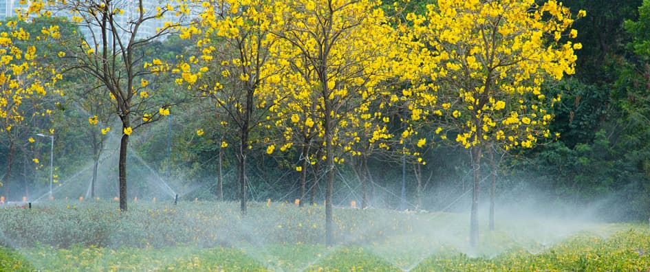 OTHERLAND : project image