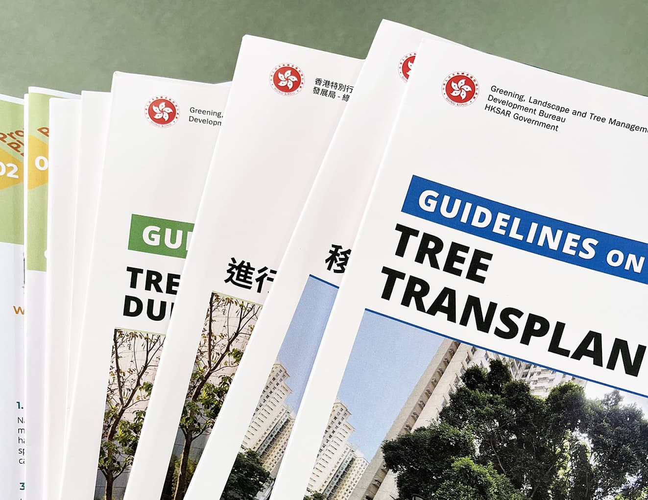 OTHERLAND : Project2 image