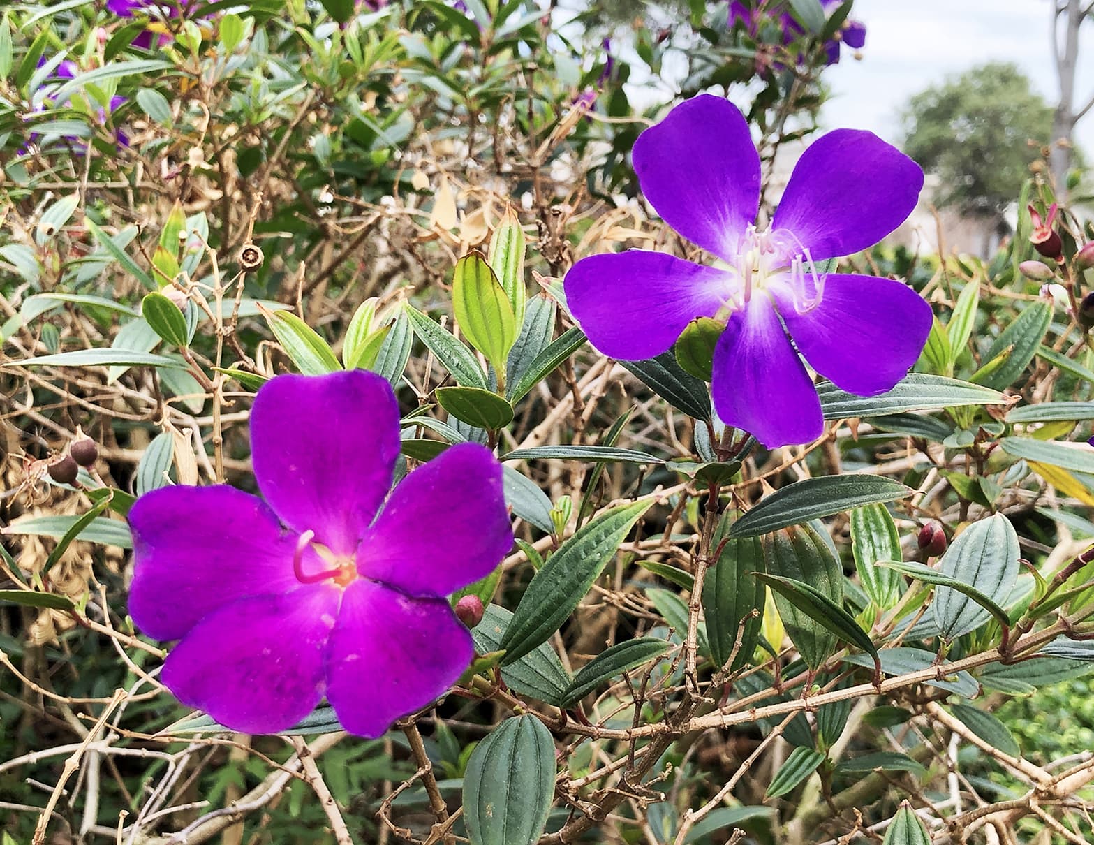 OTHERLAND : Project2 image