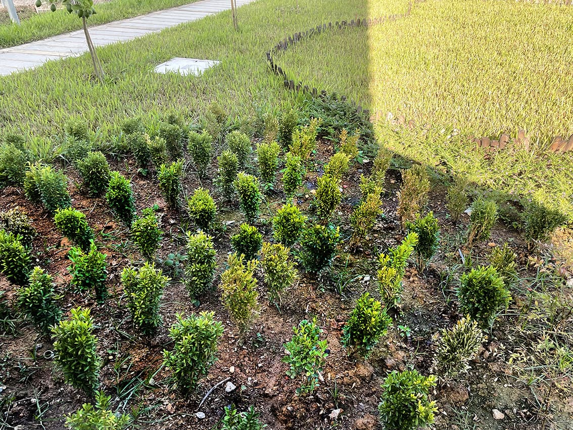 OTHERLAND : Project2 image